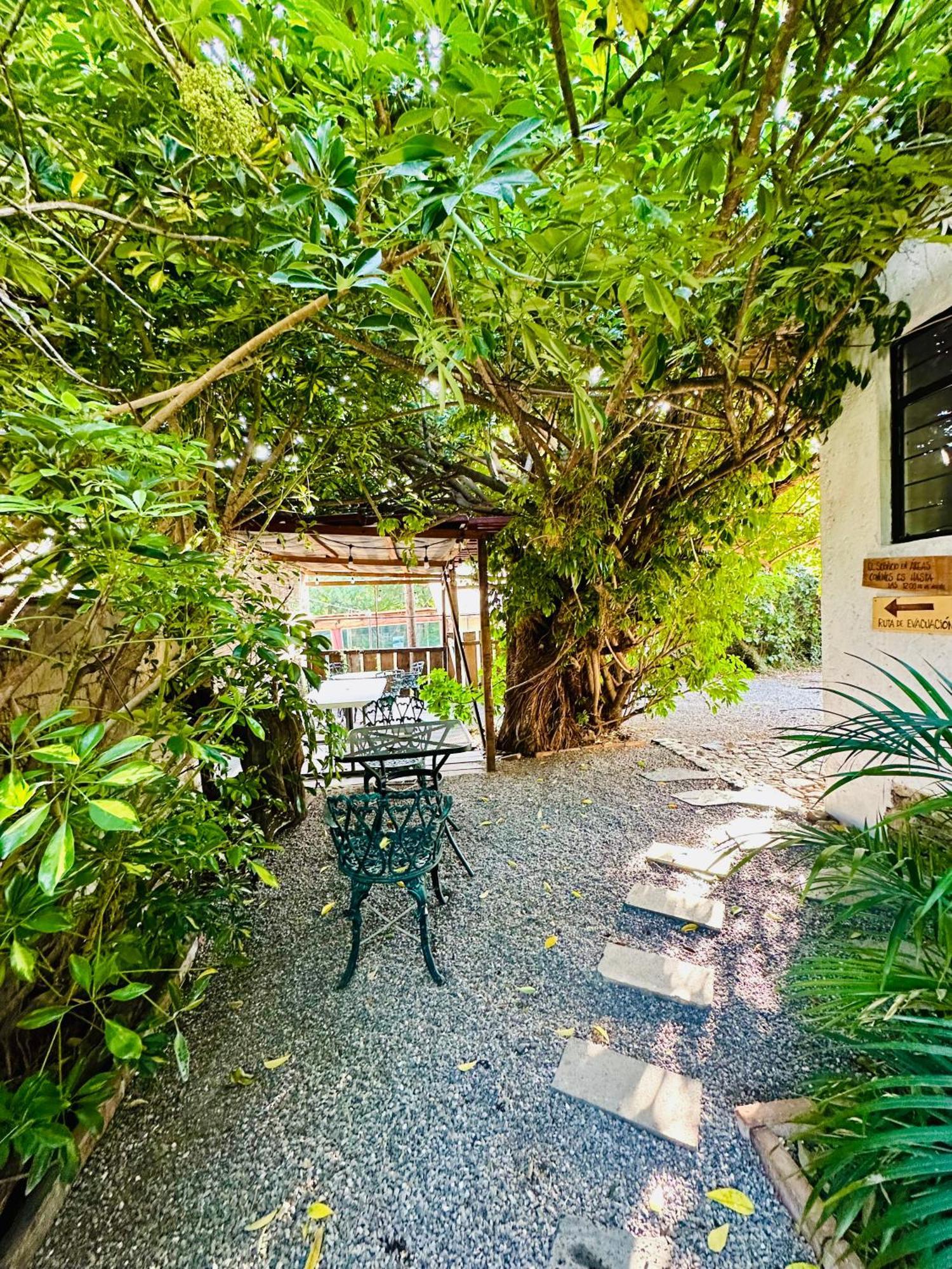 Posada Teopanco Tepoztlan Luaran gambar